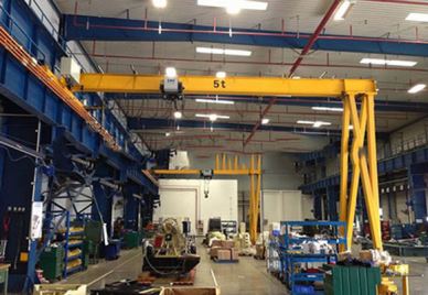 Еуропеан Семи Голиатх Цране